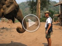 Elephant Trail qtp  Elephant Trail Video